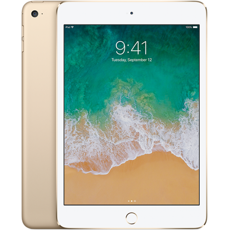 Установка защитного стекла Apple iPad Mini 4 (A1538/A1550)