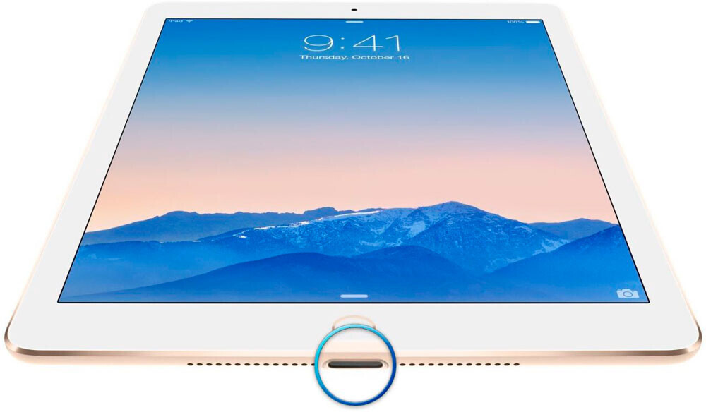 Замена нижнего шлейфа: разъем зарядки Apple iPad 9.7" 2017