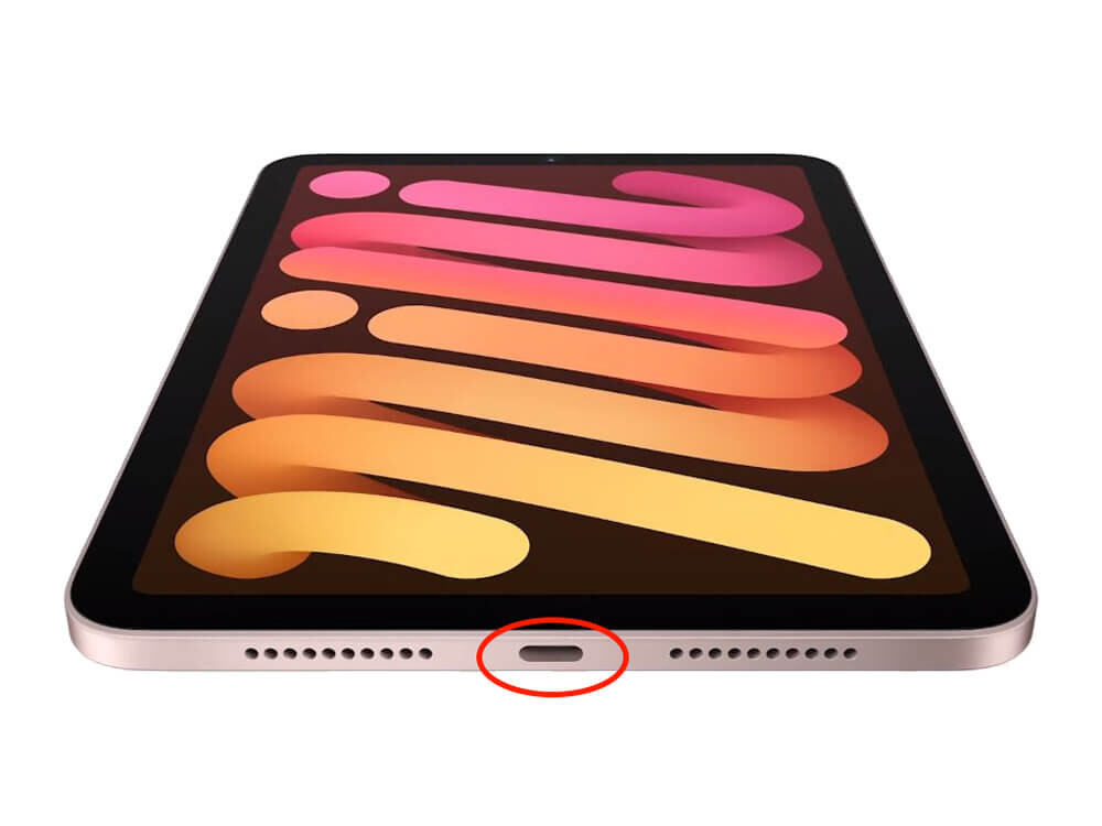 Замена нижнего шлейфа: разъем зарядки Apple iPad Mini 6 2021