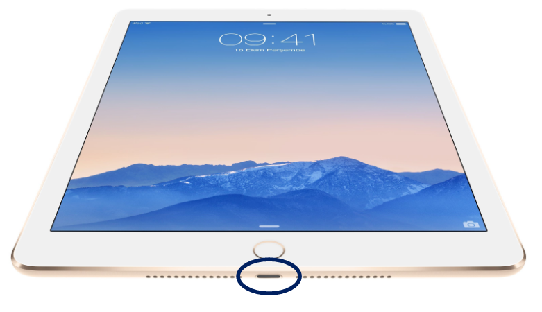 Замена нижнего шлейфа: разъем зарядки Apple iPad Air (A1474/A1475/A1476)