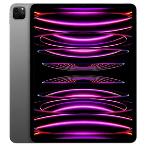 Ремонт Apple iPad Pro 12.9" M2 2022 (A2436/A2437/A2764/A2766)