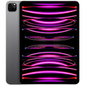 Купить Apple iPad в Паяльні