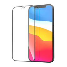 Защитное стекло Apple iPhone 12 Pro Max