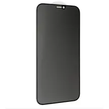 Захисне скло Privacy Apple iPhone X/XS/11 Pro
