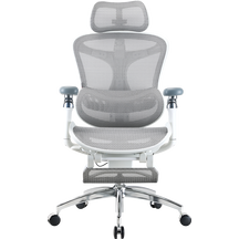 Крісло офісне з підставкою для ніг Sihoo DORO C300 Pro Mesh with footrest White