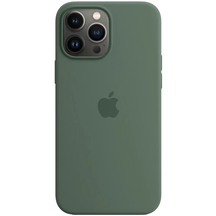 Чохол Apple iPhone 13 Pro Max Silicone cases MagSafe with animation Eucalypus