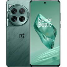 Смартфон OnePlus 12 12/256GB Flowy Emerald
