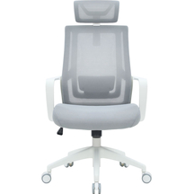 Крісло офісне OfficePro Harmony OC310-W-LG-LG