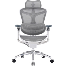 Крісло офісне Sihoo DORO C300 Pro Mesh White