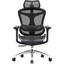 Крісло офісне Sihoo DORO C300L Mesh Black