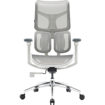 Крісло офісне Sihoo DORO S100 Mesh White