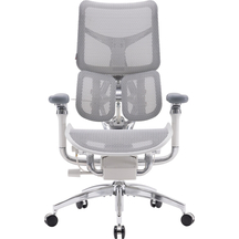 Крісло офісне Sihoo DORO S300 Mesh Light Grey
