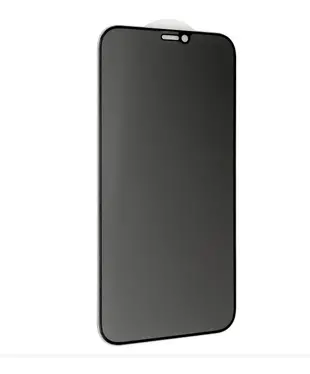 Захисне скло Privacy Apple iPhone X/XS/11 Pro