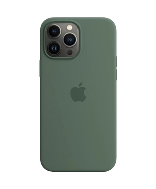 Чохол Apple iPhone 13 Pro Max Silicone cases MagSafe with animation Eucalypus