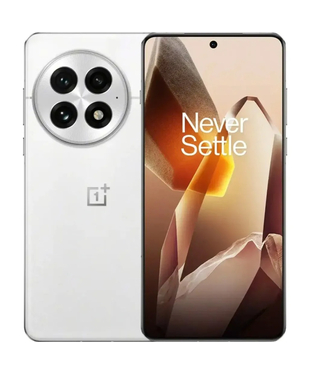 Смартфон OnePlus 13 12/512GB Arctic Dawn
