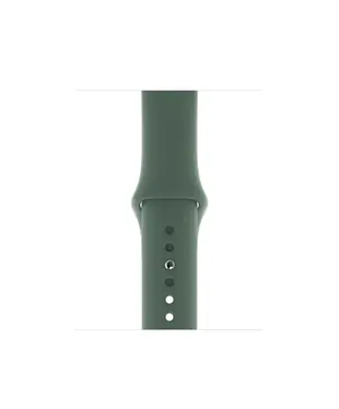 Ремешок Sport Band Apple Watch 38/40 mm Pine Green