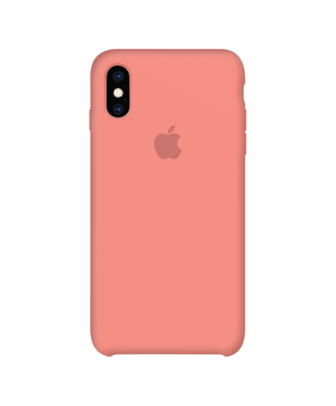 Чохол Apple iPhone X/ XS Silicone cases without cover charging socket White