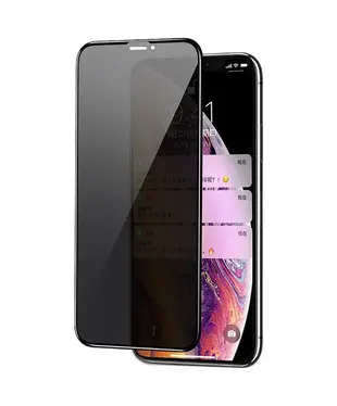 Захисне скло антишпигун Privacy Apple iPhone 12 Pro Max