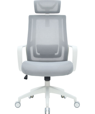 Крісло офісне OfficePro Harmony OC310-W-LG-LG