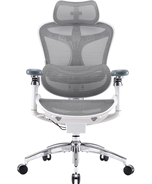 Крісло офісне Sihoo DORO C300 Pro Mesh White