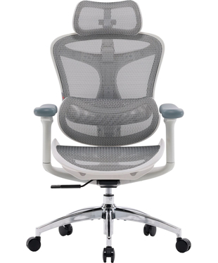 Крісло офісне Sihoo DORO C300L Mesh White