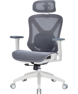Крісло офісне Officepro Atlas OC630-W-DG-DG