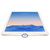 Замена нижнего шлейфа: разъем зарядки Apple iPad Air 2 (A1566/A1567), С чем проблема?: Замена нижнего шлейфа: разъем зарядки Apple iPad Air 2 (A1566/A1567)