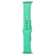 Ремешок Apple Watch Sport Band 38 mm/40 mm (S) Spearmint