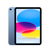 Замена динамика Apple iPad 10 10.9" 2022 (A2696/A2757/A2777), С чем проблема?: Замена динамика Apple iPad 10 10.9" 2022 (A2696/A2757/A2777)