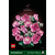 Конструктор LEGO Botanicals Букет рожевих троянд (10374), зображення 10