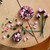 Конструктор LEGO Botanicals Букет рожевих троянд (10374), зображення 12