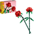 Конструктор LEGO® Botanicals Троянди (40460), зображення 3