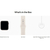 Apple Watch SE 3 GPS 44mm Starlight Aluminium Case with Starlight Sport Band M/L MEHJ4, зображення 4