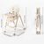 Стільчик-шезлонг для годування 2в1 Kidilo Baby Chair Z901 beige (11-3), изображение 7