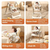 Стільчик-шезлонг для годування 2в1 Kidilo Baby Chair Z901 beige (11-3), изображение 17