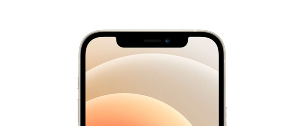 Замена датчика приближения iPhone 12 Pro Max, С чем проблема?: Замена датчика приближения iPhone 12 Pro Max