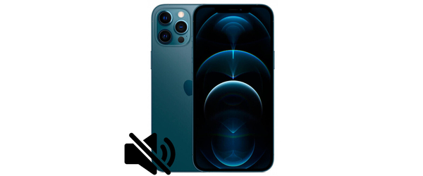 Замена нижнего (полифонического) динамика iPhone 12 Pro Max, С чем проблема?: Замена нижнего (полифонического) динамика iPhone 12 Pro Max