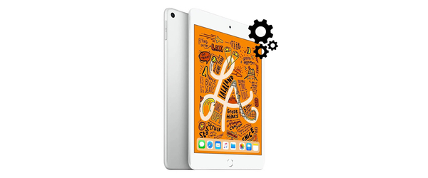 Прошивка Apple iPad Mini 5 (A2124/A2125/A2126/A2133), С чем проблема?: Прошивка Apple iPad Mini 5 (A2124/A2125/A2126/A2133)