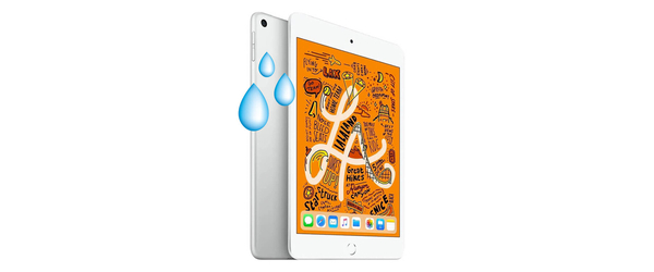 Ремонт после попадания влаги Apple iPad Mini 5 (A2124/A2125/A2126/A2133), С чем проблема?: Ремонт после попадания влаги Apple iPad Mini 5 (A2124/A2125/A2126/A2133)