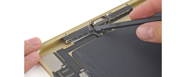 Замена динамика Apple iPad 7 10.2" 2019, С чем проблема?: Замена динамика Apple iPad 7 10.2" 2019