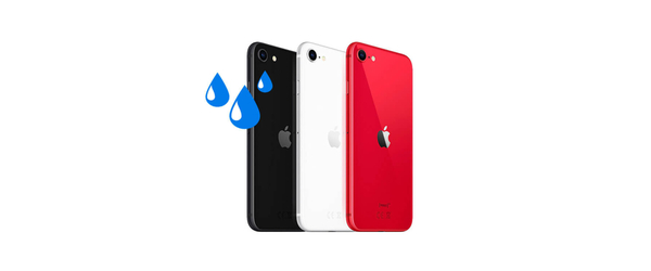 Ремонт после попадания влаги iPhone SE 2022, С чем проблема?: Ремонт после попадания влаги iPhone SE 2022 (SE3)