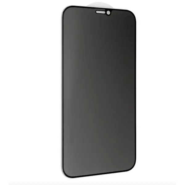 Захисне скло Privacy Apple iPhone X/XS/11 Pro