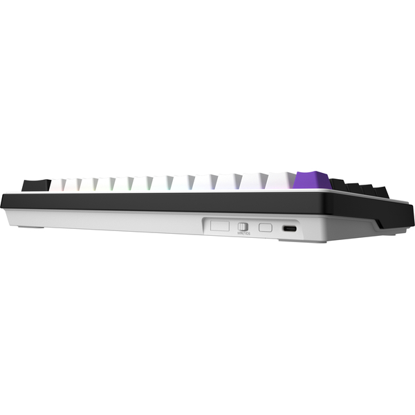 Клавіатура механічна HATOR Hellyberry HK60 - White Purple, изображение 3