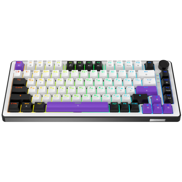 Клавіатура механічна HATOR Hellyberry HK75 - White Purple, изображение 3