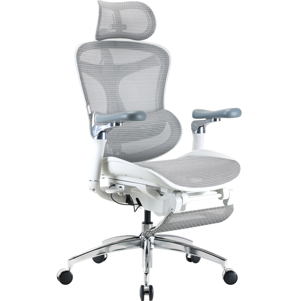 Крісло офісне з підставкою для ніг Sihoo DORO C300 Pro Mesh with footrest White, зображення 3