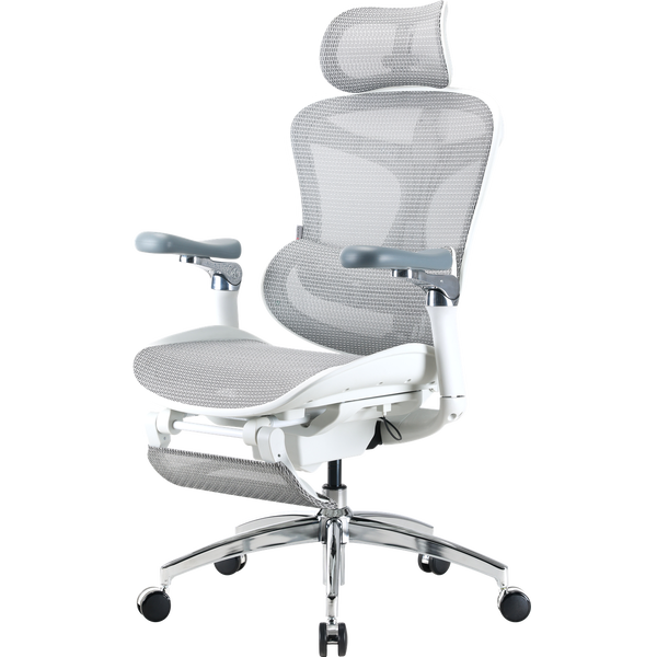 Крісло офісне з підставкою для ніг Sihoo DORO C300 Pro Mesh with footrest White, зображення 4