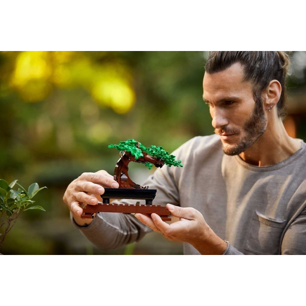 Конструктор LEGO® Botanicals Дерево бонсай (10281), зображення 5