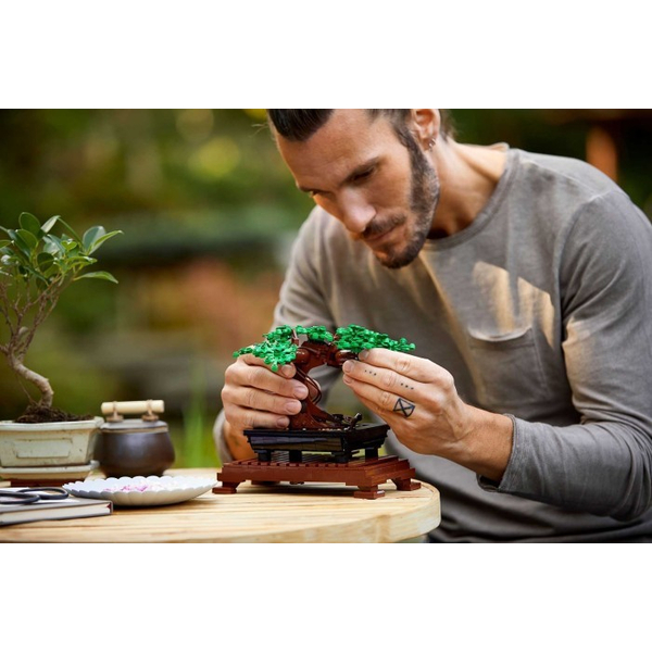 Конструктор LEGO® Botanicals Дерево бонсай (10281), зображення 6