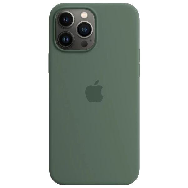 Чохол Apple iPhone 13 Pro Max Silicone cases MagSafe with animation Eucalypus