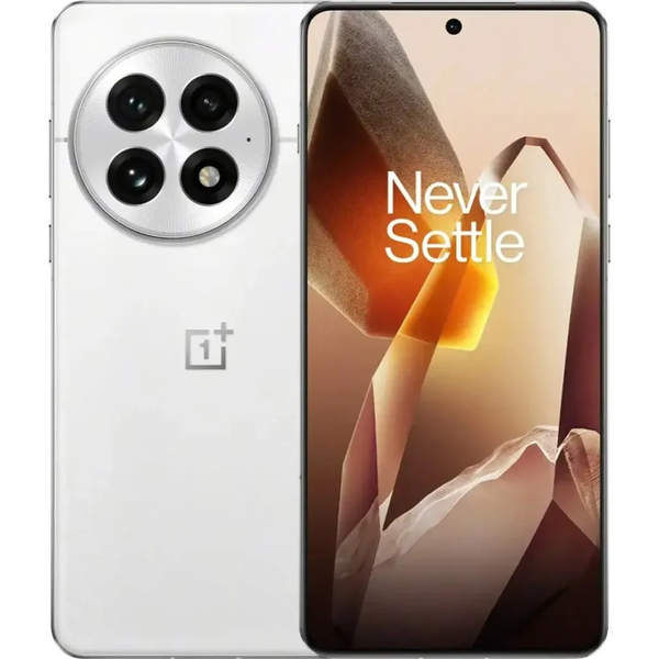 Смартфон OnePlus 13 12/512GB Arctic Dawn